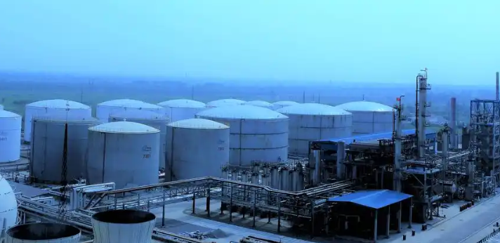 黑龙江仁慈精准肿瘤医院靶向治疗方案与住院康复一体化实践